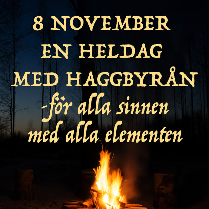 En sinnlig dag med elementen 8 november