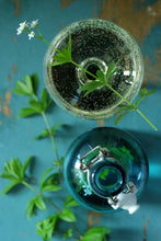 Häxans Trädgård - läkeväxter förr och nu NYUTGÅVA 2026