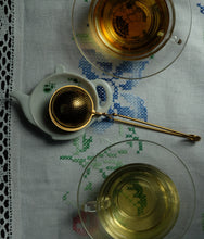 Häxans Trädgård - läkeväxter förr och nu NYUTGÅVA 2026