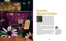 Häxans Trädgård - läkeväxter förr och nu NYUTGÅVA 2026